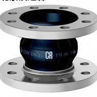 Elaflex ERV-CR DN 100.16橡膠膨脹節(jié) Elaflex ERV-CR DN 100.16橡膠膨脹節(jié)