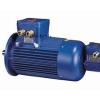 意大利CEMP無(wú)火花型防爆電機(jī)電機(jī)