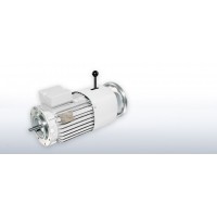 VEM進口電機原裝進口優(yōu)勢產(chǎn)品
