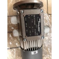 minimotorBC2000F級(jí)繞組