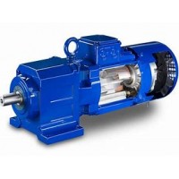 德國BAUER BG50-11/D08MA4-TF斜齒輪減速機(jī)