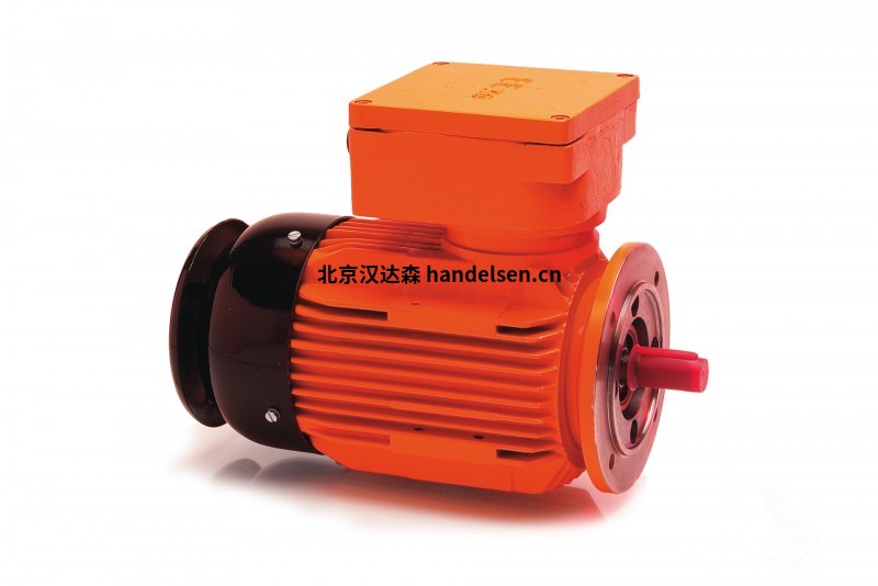 HEW 防爆三相電機(jī)