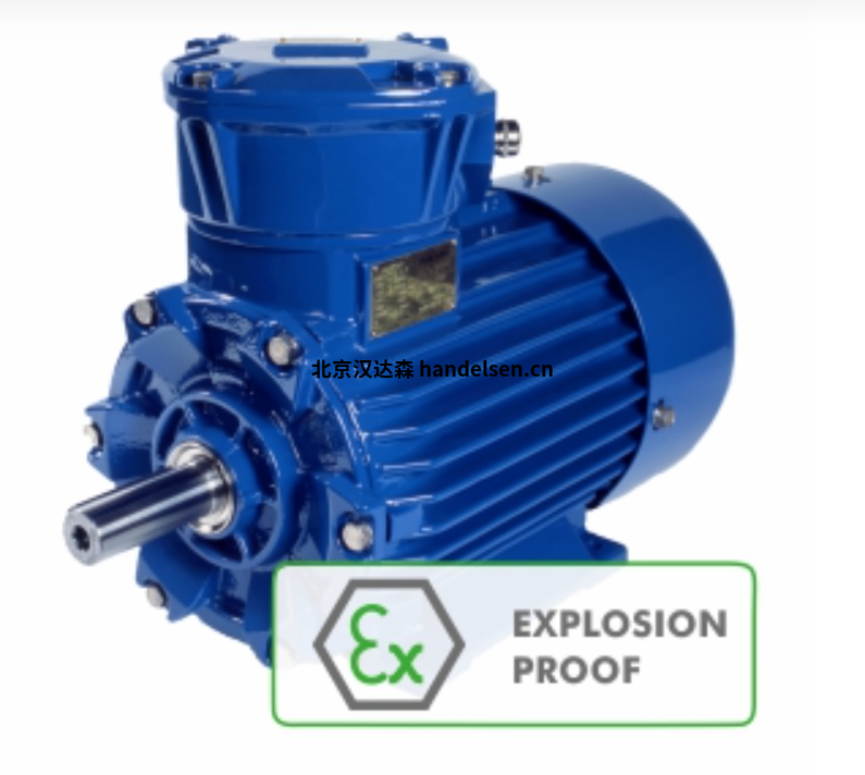 CANTONI ExSh-ExSg系列防爆電機
