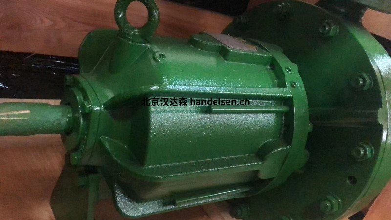 德國dickow pumpen泵NMBh 50日常維護(hù)方法