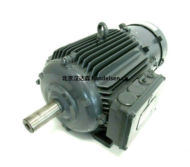 Dutchi鼠籠式感應(yīng)電機TCA112M2E3U46