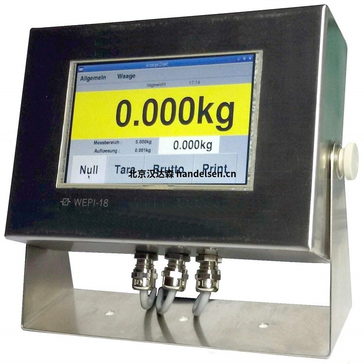 德國Georg Buttner WEPI-18稱重顯示器