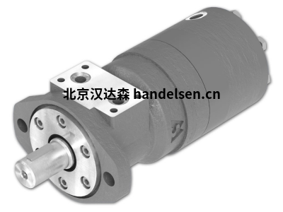 德國M+S HYDRAULIC液壓馬達(dá)MTS 200t