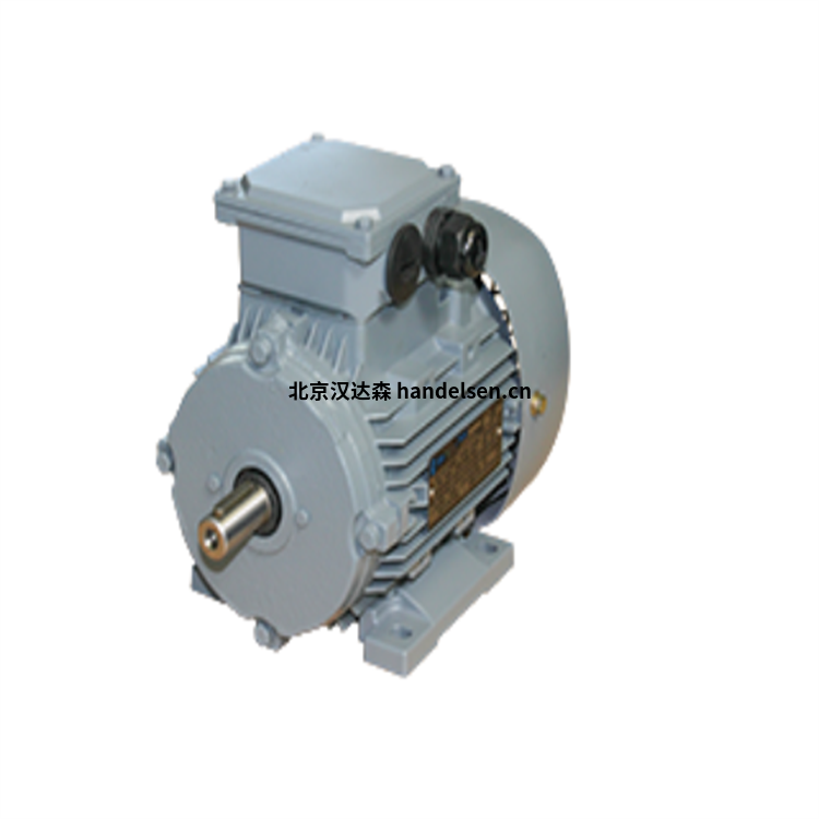 emwb Elektromotorenwerk Brienz AG標(biāo)準(zhǔn)發(fā)動機(jī)