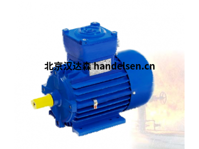 AC-Motoren IE3系列IE3AC08A2001H型電機(jī)