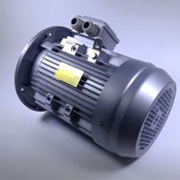SEIPEE標準化電動機GM200LA4 30KW型原理應用