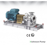 Johnson Pump 重型流程泵，適合化工/石化工業(yè)、煉油廠(chǎng)和一般工業(yè)應(yīng)用