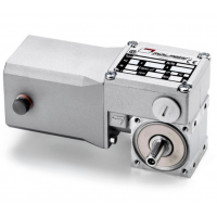 Mini Motor 蝸輪蝸桿直流減速電機BC2000-24MP，永磁直流電，全封閉