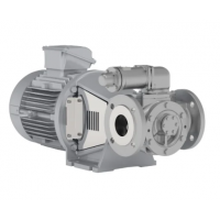 Johnson Pump 內(nèi)嚙合齒輪泵，適用于中等粘度、清潔和非磨蝕性液體