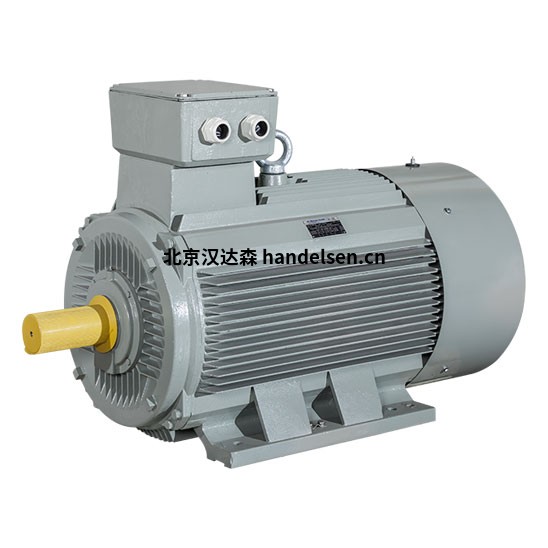 AC motoren低壓電機(jī)