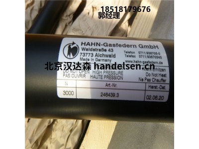德國(guó)Hahn Gasfedern不銹鋼拉伸彈簧G08-19ST-28995國(guó)內(nèi)現(xiàn)貨