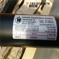 德國(guó)Hahn Gasfedern不銹鋼拉伸彈簧G08-19ST-28995國(guó)內(nèi)現(xiàn)貨