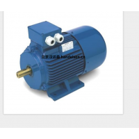 意大利 OEMER 異步電機(jī) MTES3 系列：高效驅(qū)動(dòng)，賦能工業(yè)新動(dòng)能