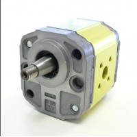 意大利 Vivoil 單向液壓泵 X0U0401ABBA 適用于低功率液壓系統(tǒng)驅(qū)動